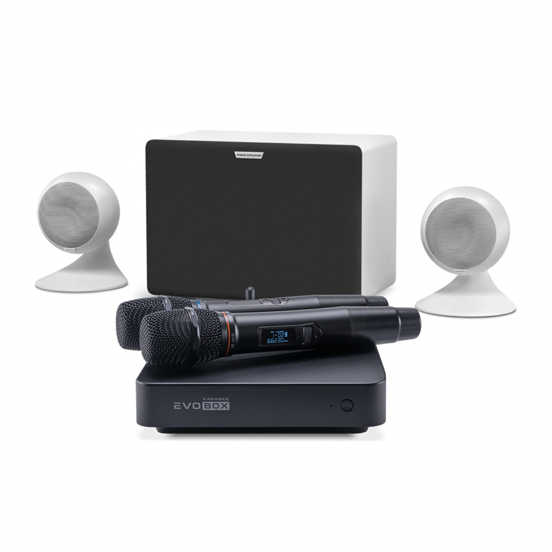 караоке-комплект EVOBOX Classic + EvoSound Sphere 2.1 в Кабардино-Балкарии
