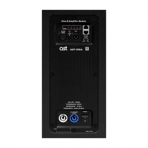 Активная акустическая система AST-310A в Кабардино-Балкарии