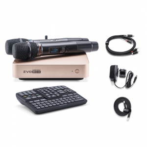 EVOBOX Plus караоке-система для дома в Кабардино-Балкарии